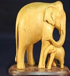 WOODEN ELEPHANT SHOWCASE